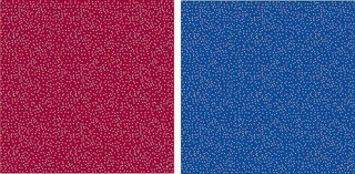 88888.jpg